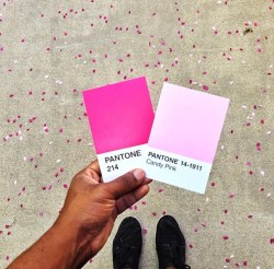 The-Pantone-Project-1