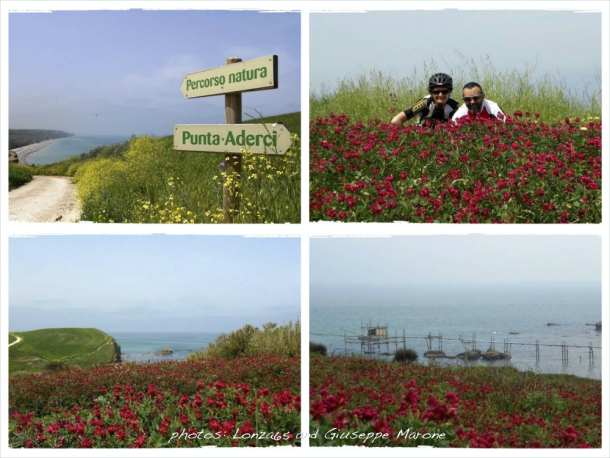 !01ld DSCN1812_Punta-Aderci_Collage