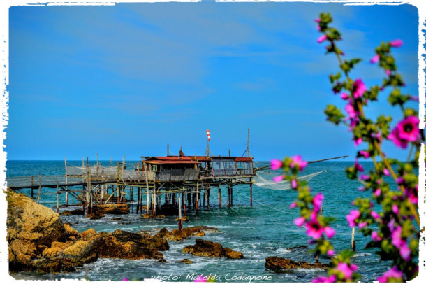 §01dd 116_trabocchi2