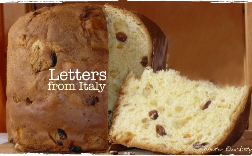 P1030252_panettone_ock