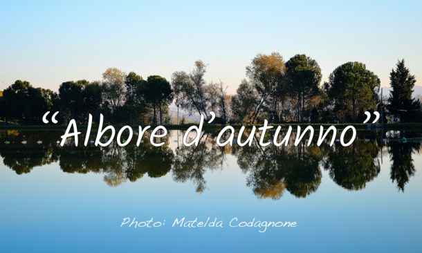 The Art of Wandering :: Autumn Landscapes - Sant'Eusanio del Sangro (Chieti) | photo: Â©MateldaCodagnone