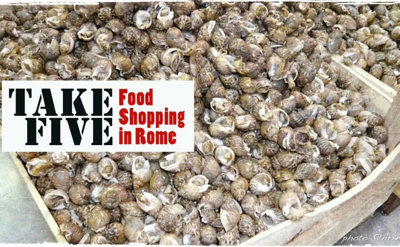 P1030130_sea-snails_cov