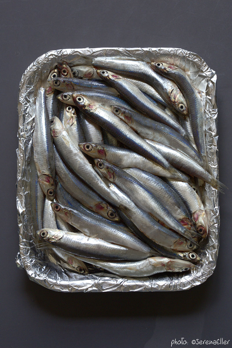 Fresh anchovies :: Styling: Orsola Ciriello Kogan | photo: ©Serena Eller