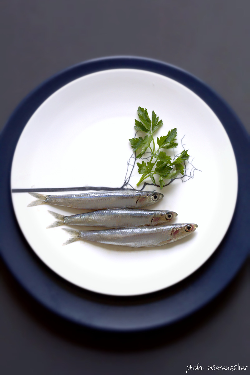Plated :: Fresh anchovies and parsley :: Styling: Orsola Ciriello Kogan | photo: ©Serena Eller