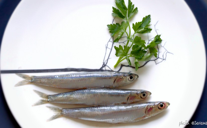 01-1B0A9664_anchoviess_cov_ockstyle_©serenaeller