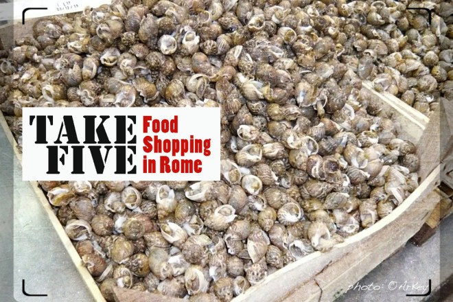 01 lP1030130_sea-snails_cov_ArKey