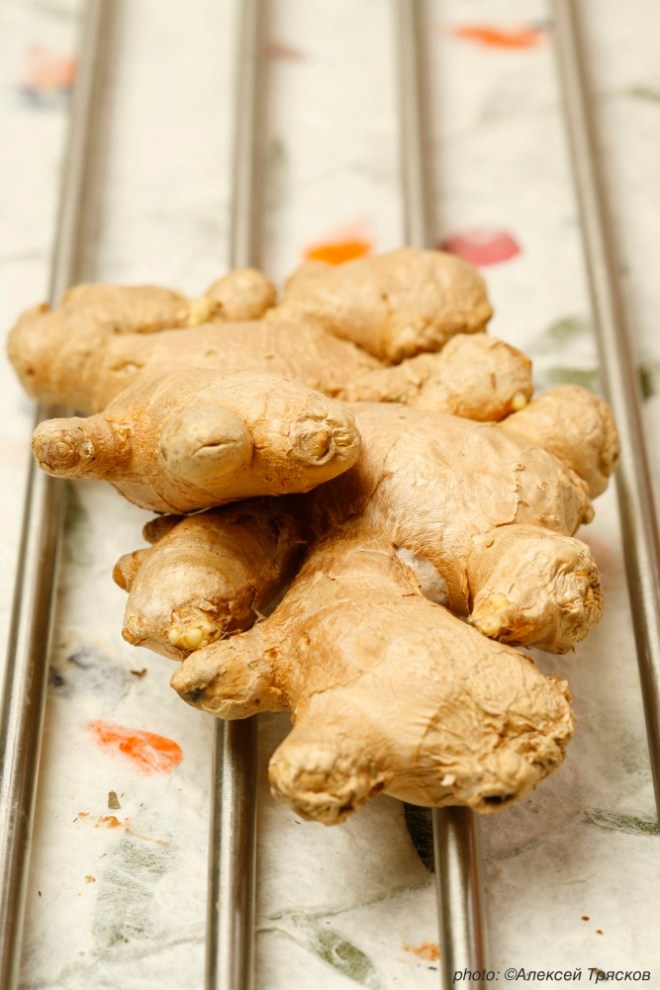 6274_ginger_ockstyle_alexeytryaskov_eksmo