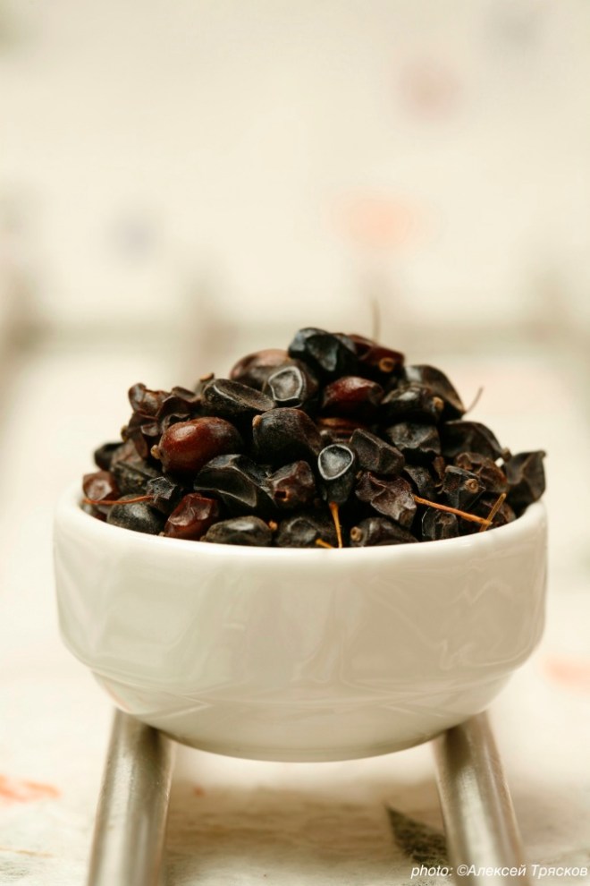 6311_black_ockstyle_alexeytryaskov_eksmo