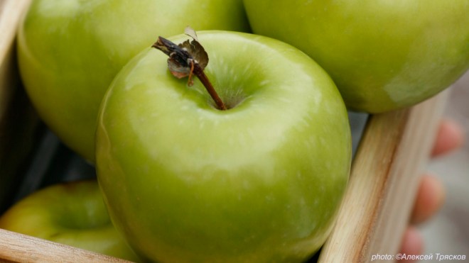 6846_apples_ockstyle_alexeytryaskov_eksmo_cov