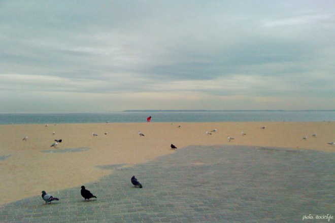 2166_brighton_brooklyn_©ockstyle