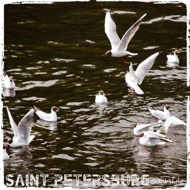 Travel Bites :: Channels of Saint Petersburg, Russia | photo: ©ockstyle