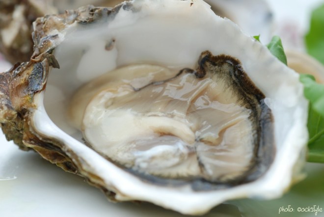 4508_aragona_©ockstyle