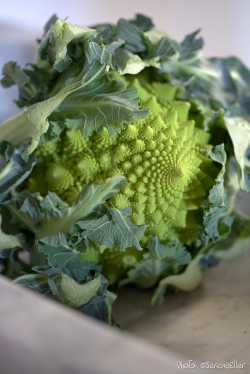 Broccolo Romanesco :: Sale e Pepe Magazine | Food Styling: Orsola Ciriello Kogan | Photo: ©SerenaEller