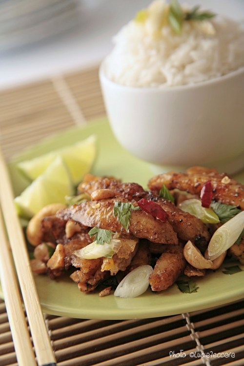 Stir Fried Chicken and Rice | Recipe and Styling: Orsola Ciriello Kogan | Photo ©LuciaZeccara