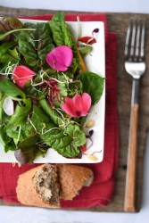 Flowers Rainbow Salad :: Recipe and Styling: Orsola Ciriello Kogan | Photo: ©LuciaZeccara