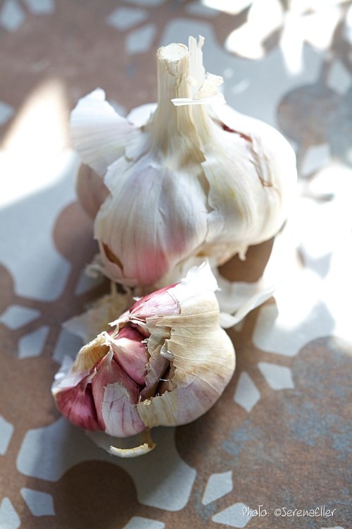 Red Garlic :: Sale e Pepe Magazine | Food Styling: Orsola Ciriello Kogan | Photo: ©SerenaEller