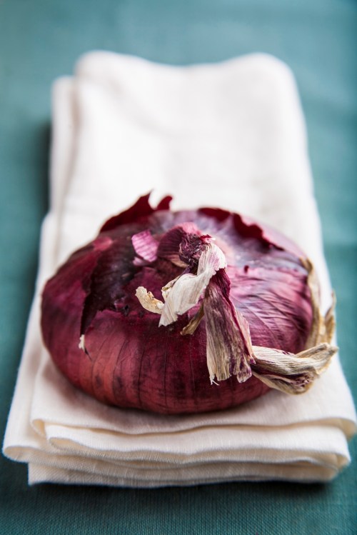 Ingredients: Red Onion on a Linen Fabric | Styling: Orsola Ciriello Kogan | Photo: ©LuciaZeccara
