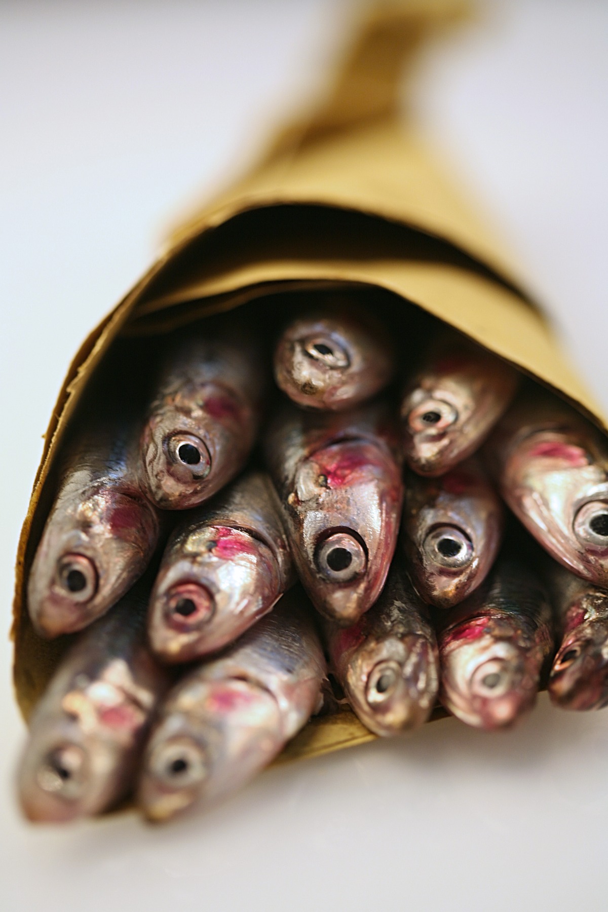 Fresh anchovies | Styling: Orsola Ciriello Kogan | Photo: ©LuciaZeccara