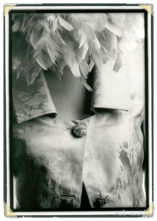 Silk Shantung and Feathers | Black & White on photo paper | ©OrsolaCirielloKogan
