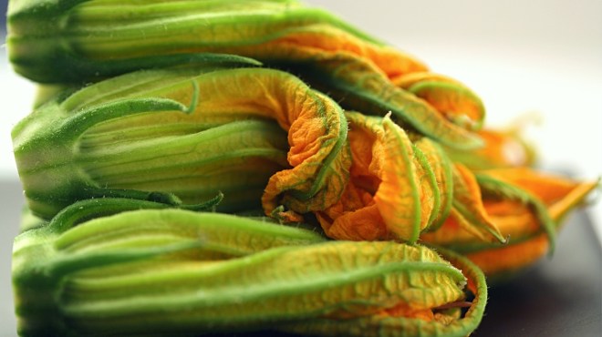 Zucchini Blossoms :: Styling: Orsola Ciriello Kogan | Photo: ©LuciaZeccara