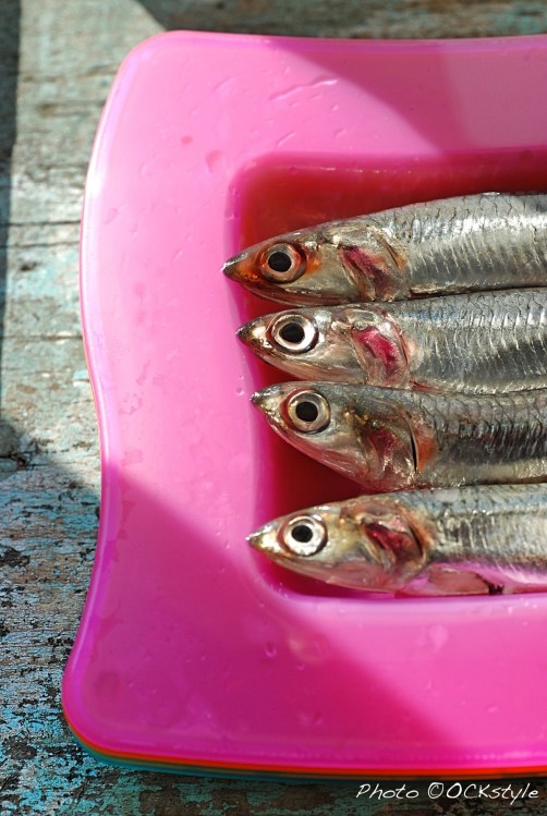 Travel Bites :: Mediterranean anchovies | ©OrsolaCirielloKogan