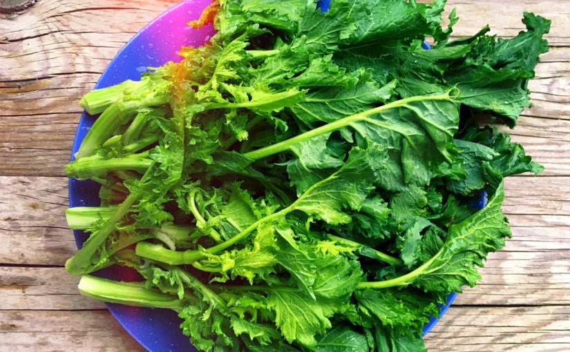 #ItalianFlavors :: The Broccoletti Meditation (with&nbsp;recipe)