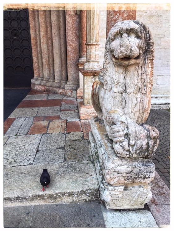 Leone stiliforo - Cattedrale di San Vigilio | Postcards from Trento (Trentino Alto Adige) June 2019 | Photo: ©OrsolaCirielloKogan