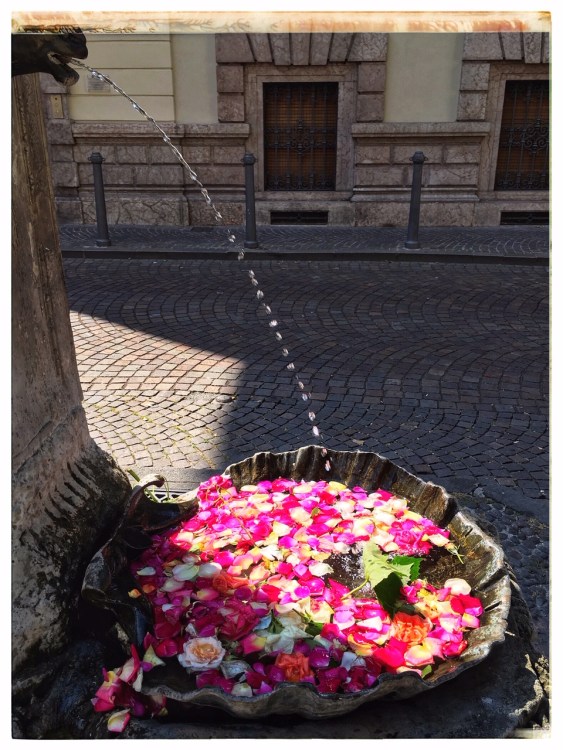 Postcards from Trento (Trentino Alto Adige) June 2019 | Photo: ©OrsolaCirielloKogan