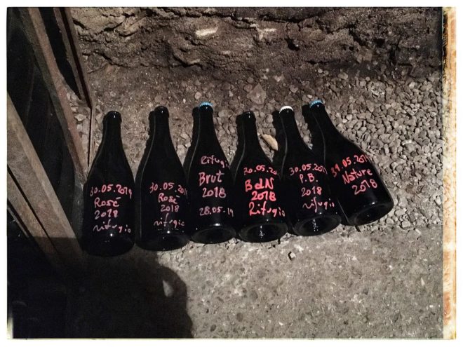 Cantina Trento DOC, Pisoni Brothers Distillery | Postcards from Trento (Trentino Alto Adige) June 2019 | Photo: ©OrsolaCirielloKogan