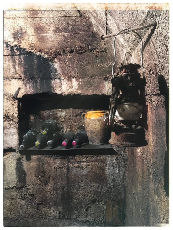 Cantina, Pisoni Brothers Distillery | Postcards from Trento (Trentino Alto Adige) June 2019 | Photo: ©OrsolaCirielloKogan