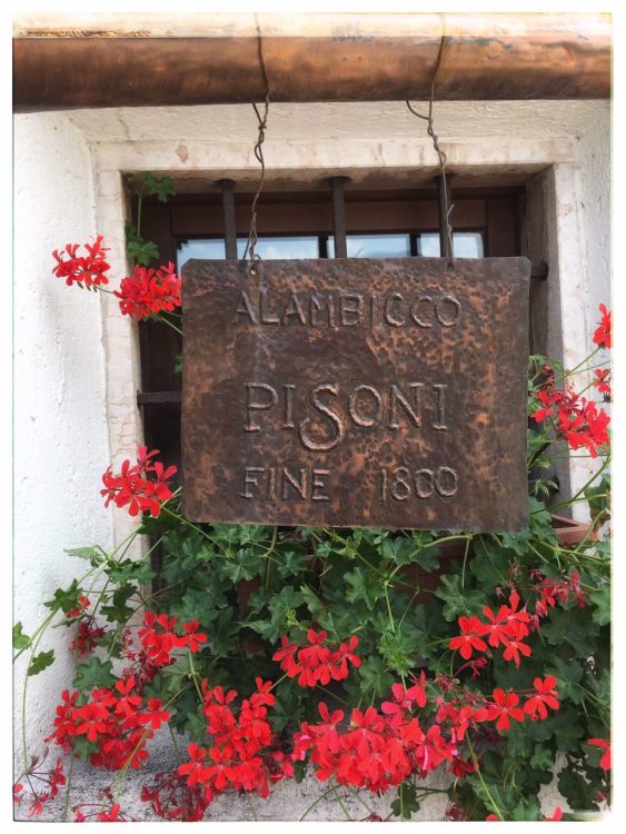 Alambicco | Pisoni Brothers Distillery | Postcards from Trento (Trentino Alto Adige) June 2019 | Photo: ©OrsolaCirielloKogan
