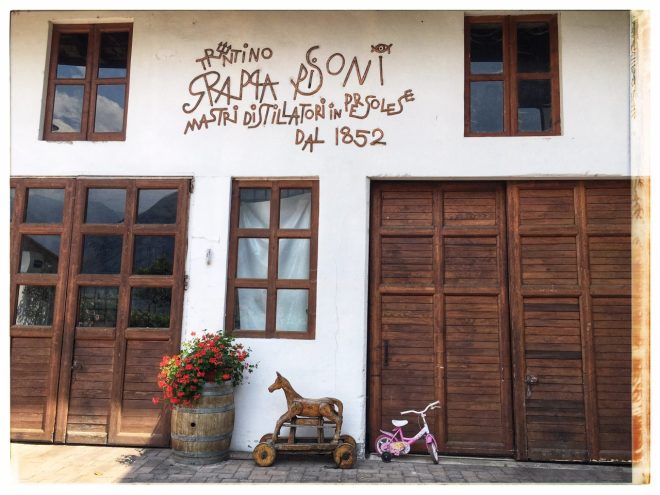 Pisoni Brothers Distillery | Postcards from Trento (Trentino Alto Adige) June 2019 | Photo: ©OrsolaCirielloKogan