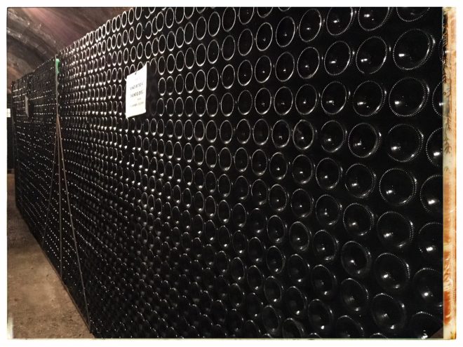 Cantina Trento DOC, Pisoni Brothers Distillery | Postcards from Trento (Trentino Alto Adige) June 2019 | Photo: ©OrsolaCirielloKogan
