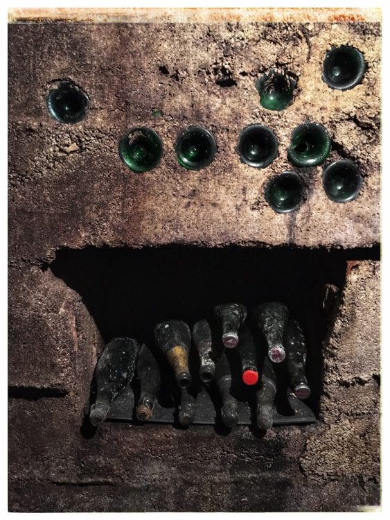 Cantina, Pisoni Brothers Distillery | Postcards from Trento (Trentino Alto Adige) June 2019 | Photo: ©OrsolaCirielloKogan