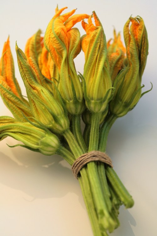 Zucchini Blossoms Bouquet :: Styling: Orsola Ciriello Kogan | Photo: ©LuciaZeccara