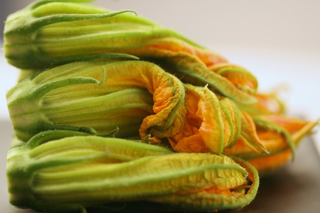 Food Styling and Photography: Zucchini Blossoms | Styling: Orsola Ciriello Kogan | Photo: ©LuciaZeccara