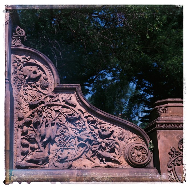 A detail of Bethesda Stairs in Central Park | My New York City in 120mm ©ockstyle